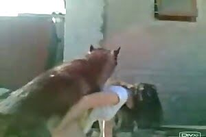 hotties,animal fucks